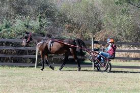 LR-WRF 10182025 Retreat-6364